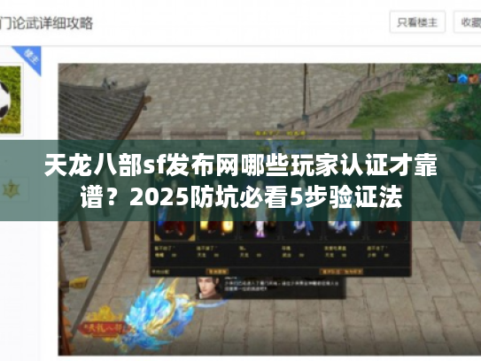 天龙八部sf发布网哪些玩家认证才靠谱？2025防坑必看5步验证法