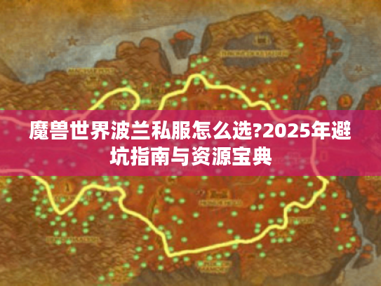 魔兽世界波兰私服怎么选?2025年避坑指南与资源宝典