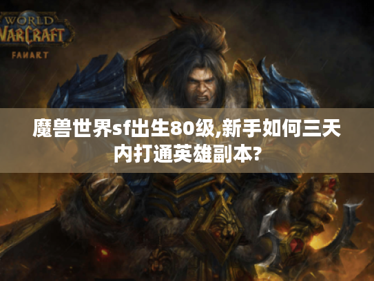 魔兽世界sf出生80级,新手如何三天内打通英雄副本?