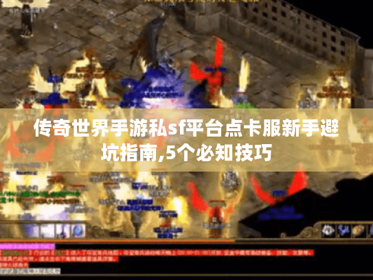 传奇世界手游私sf平台点卡服新手避坑指南,5个必知技巧