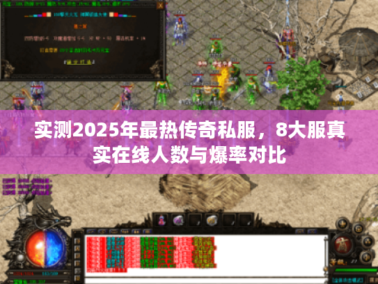 实测2025年最热传奇私服，8大服真实在线人数与爆率对比