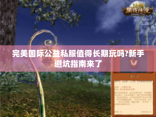 完美国际公益私服值得长期玩吗?新手避坑指南来了