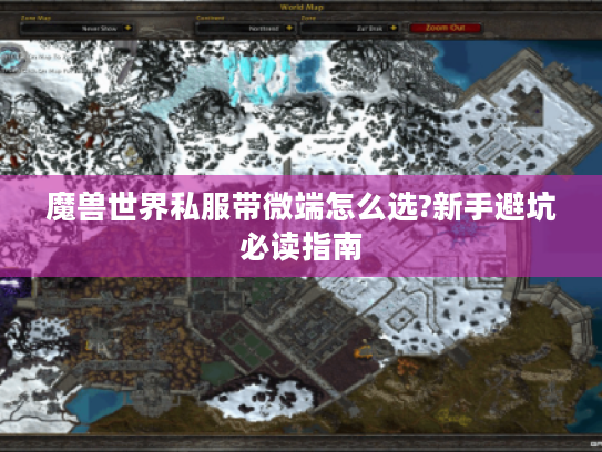 魔兽世界私服带微端怎么选?新手避坑必读指南
