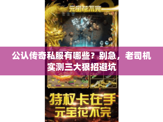 公认传奇私服有哪些？别急，老司机实测三大狠招避坑