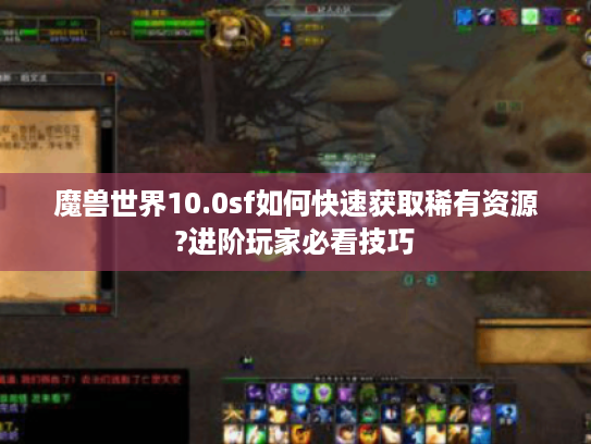 魔兽世界10.0sf如何快速获取稀有资源?进阶玩家必看技巧