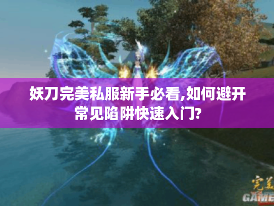 妖刀完美私服新手必看,如何避开常见陷阱快速入门?