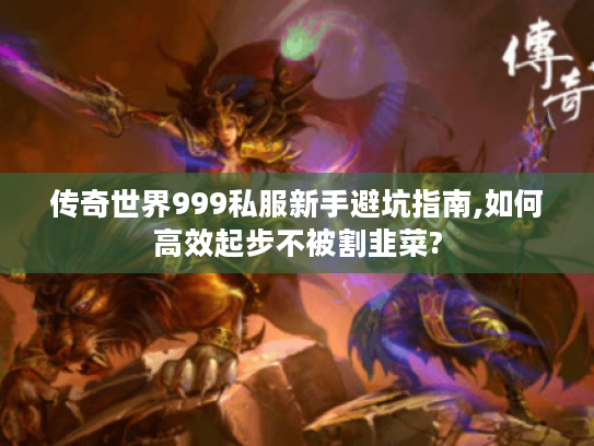 传奇世界999私服新手避坑指南,如何高效起步不被割韭菜?