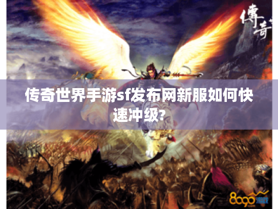 传奇世界手游sf发布网新服如何快速冲级?