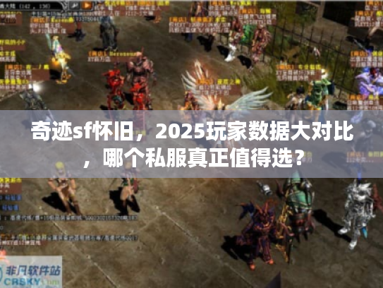 奇迹sf怀旧，2025玩家数据大对比，哪个私服真正值得选？