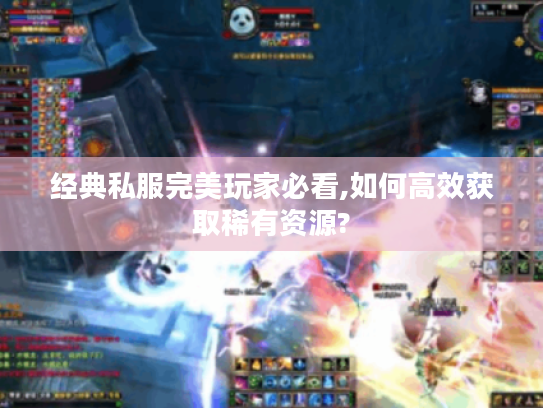 经典私服完美玩家必看,如何高效获取稀有资源?