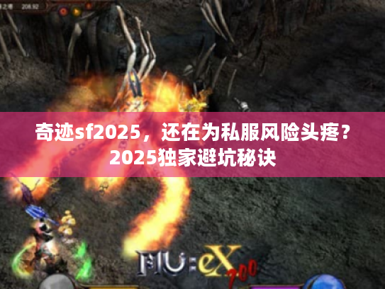 奇迹sf2025，还在为私服风险头疼？2025独家避坑秘诀