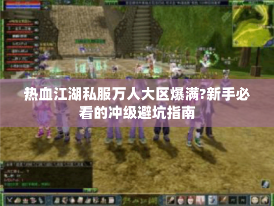 热血江湖私服万人大区爆满?新手必看的冲级避坑指南