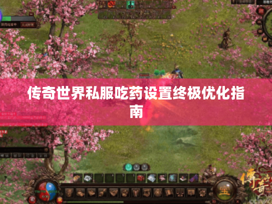 传奇世界私服吃药设置终极优化指南