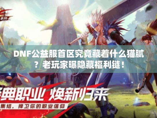 DNF公益服首区究竟藏着什么猫腻？老玩家曝隐藏福利链！