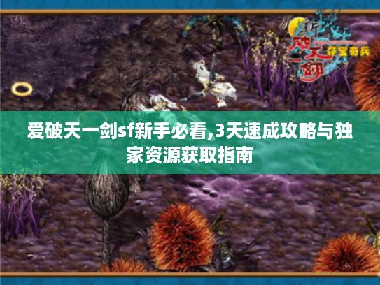 爱破天一剑sf新手必看,3天速成攻略与独家资源获取指南