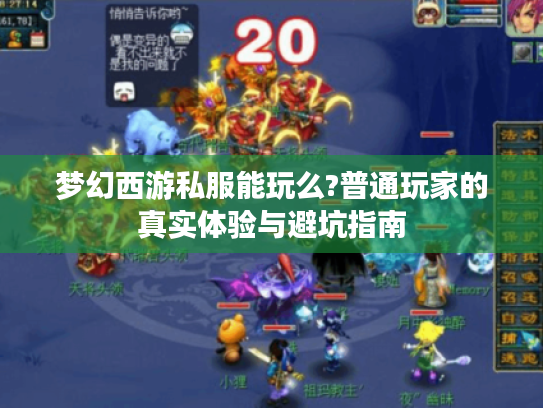 梦幻西游私服能玩么?普通玩家的真实体验与避坑指南