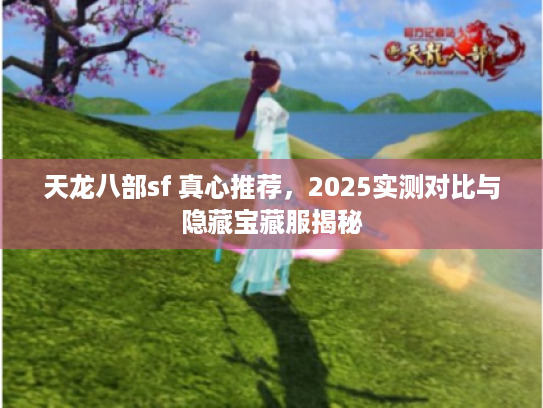 天龙八部sf 真心推荐，2025实测对比与隐藏宝藏服揭秘