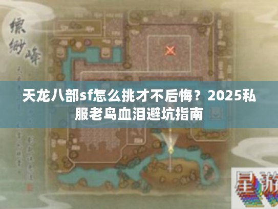 天龙八部sf怎么挑才不后悔？2025私服老鸟血泪避坑指南