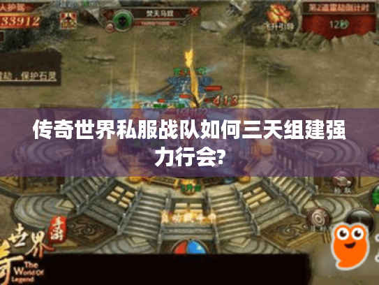 传奇世界私服战队如何三天组建强力行会?
