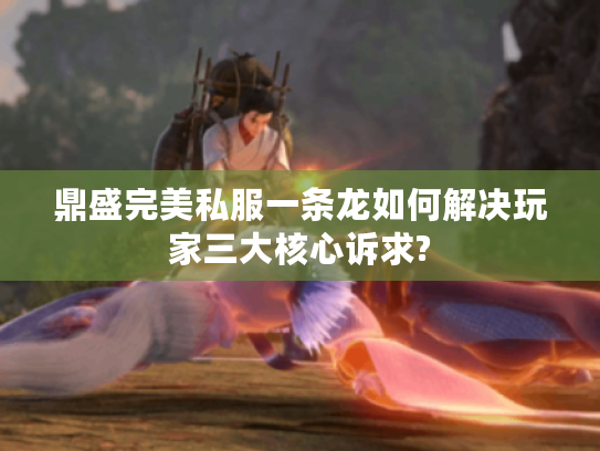 鼎盛完美私服一条龙如何解决玩家三大核心诉求?