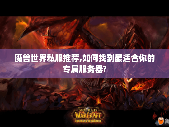 魔兽世界私服推荐,如何找到最适合你的专属服务器?