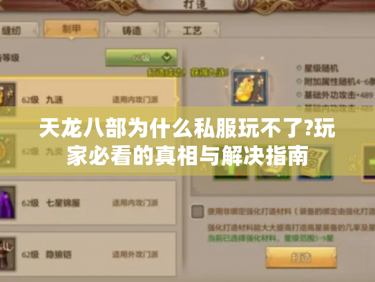 天龙八部为什么私服玩不了?玩家必看的真相与解决指南