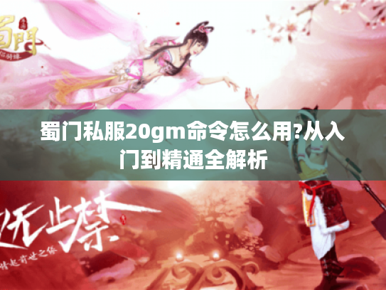 蜀门私服20gm命令怎么用?从入门到精通全解析