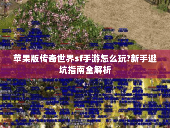 苹果版传奇世界sf手游怎么玩?新手避坑指南全解析 苹果版传奇世界sf手游怎么玩?新手避坑指南全解析