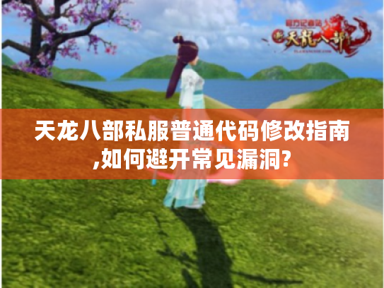 天龙八部私服普通代码修改指南,如何避开常见漏洞?