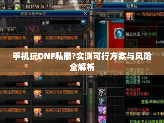 手机玩DNF私服?实测可行方案与风险全解析
