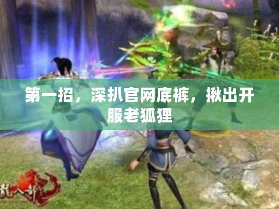 第一招，深扒官网底裤，揪出开服老狐狸