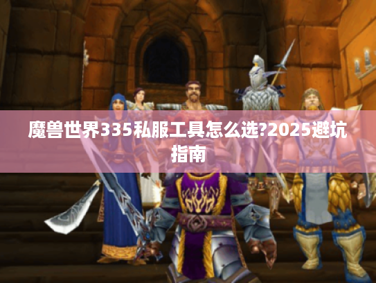 魔兽世界335私服工具怎么选?2025避坑指南