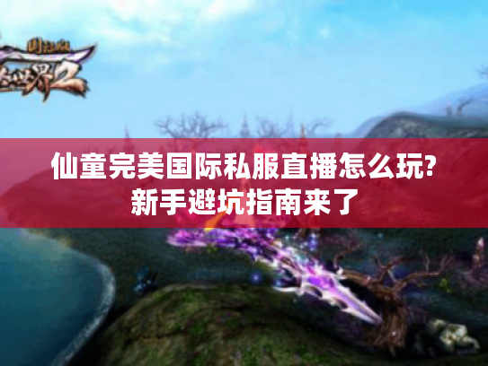 仙童完美国际私服直播怎么玩?新手避坑指南来了