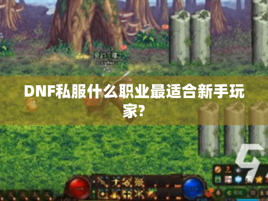 DNF私服什么职业最适合新手玩家? DNF私服什么职业最适合新手玩家?