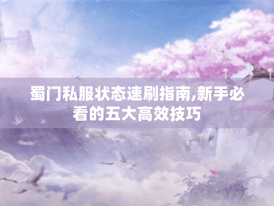 蜀门私服状态速刷指南,新手必看的五大高效技巧