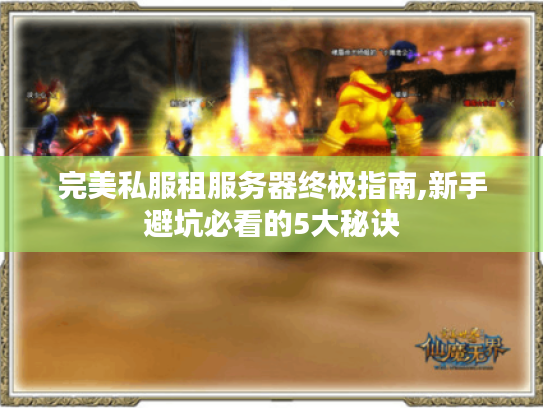 完美私服租服务器终极指南,新手避坑必看的5大秘诀