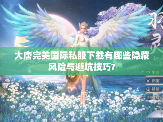 大唐完美国际私服下载有哪些隐藏风险与避坑技巧?