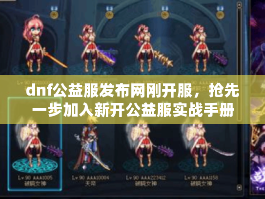 dnf公益服发布网刚开服，抢先一步加入新开公益服实战手册