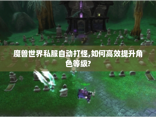 魔兽世界私服自动打怪,如何高效提升角色等级?