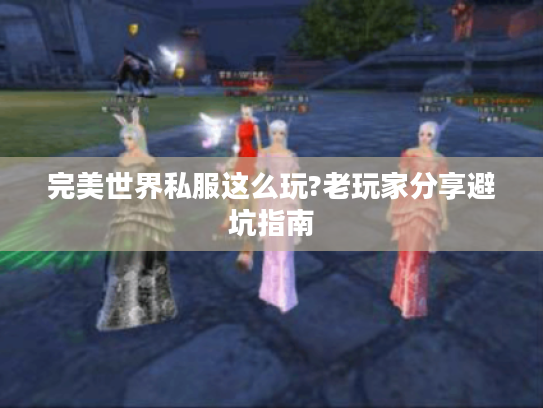 完美世界私服这么玩?老玩家分享避坑指南