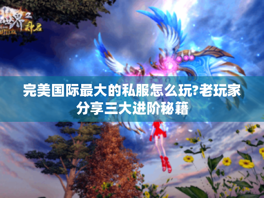 完美国际最大的私服怎么玩?老玩家分享三大进阶秘籍