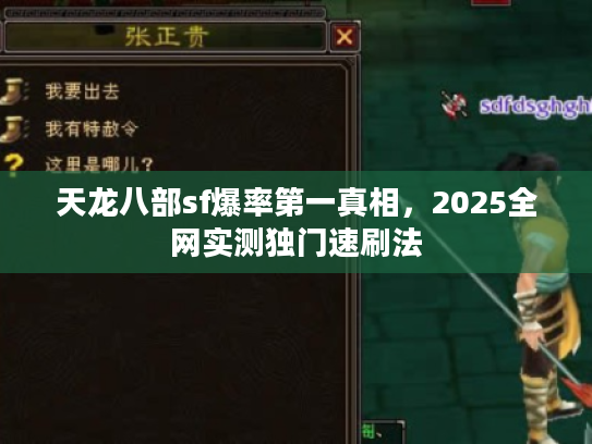 天龙八部sf爆率第一真相，2025全网实测独门速刷法