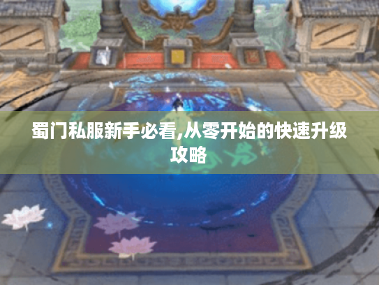 蜀门私服新手必看,从零开始的快速升级攻略 蜀门私服新手必看,从零开始的快速升级攻略