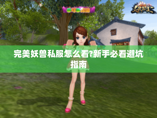 完美妖兽私服怎么看?新手必看避坑指南