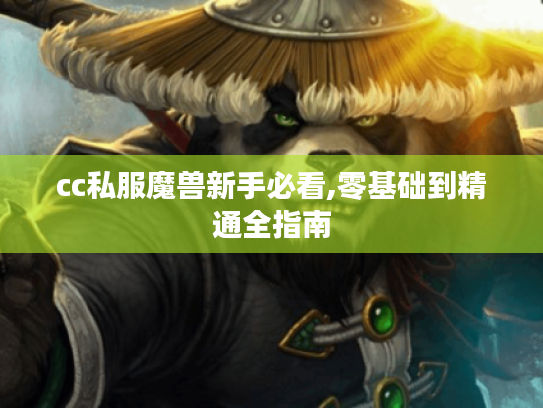 cc私服魔兽新手必看,零基础到精通全指南