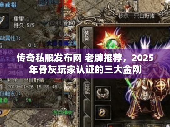 传奇私服发布网 老牌推荐，2025年骨灰玩家认证的三大金刚
