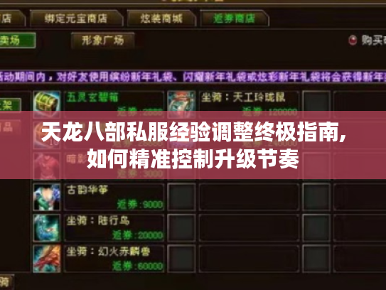 天龙八部私服经验调整终极指南,如何精准控制升级节奏