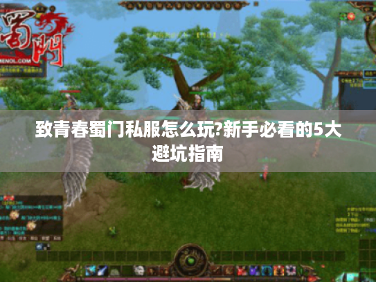 致青春蜀门私服怎么玩?新手必看的5大避坑指南 致青春蜀门私服怎么玩?新手必看的5大避坑指南