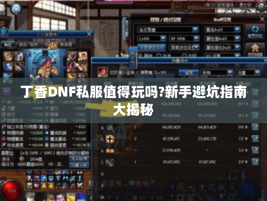 丁香DNF私服值得玩吗?新手避坑指南大揭秘