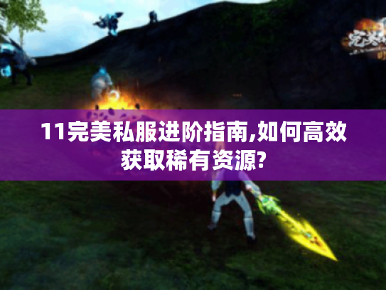 11完美私服进阶指南,如何高效获取稀有资源?